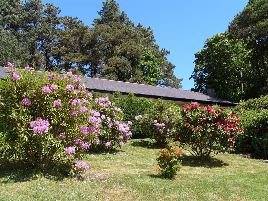 Plas Heulog Holiday Accommodation Llanfairfechan Zewnętrze zdjęcie